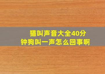 猫叫声音大全40分钟狗叫一声怎么回事啊