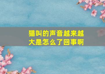 猫叫的声音越来越大是怎么了回事啊