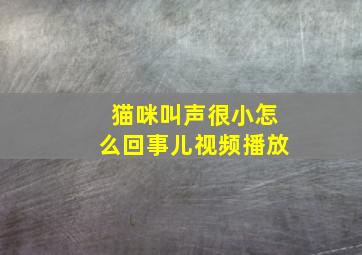 猫咪叫声很小怎么回事儿视频播放