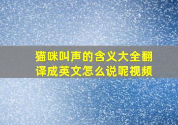 猫咪叫声的含义大全翻译成英文怎么说呢视频