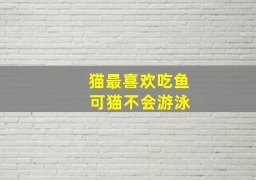 猫最喜欢吃鱼 可猫不会游泳