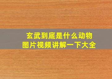 玄武到底是什么动物图片视频讲解一下大全