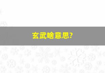 玄武啥意思?