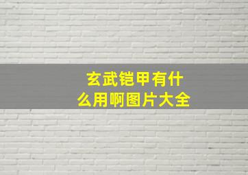 玄武铠甲有什么用啊图片大全