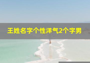 王姓名字个性洋气2个字男