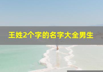 王姓2个字的名字大全男生