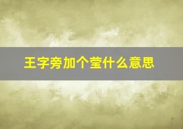 王字旁加个莹什么意思