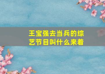 王宝强去当兵的综艺节目叫什么来着