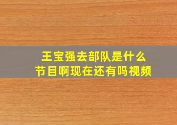 王宝强去部队是什么节目啊现在还有吗视频