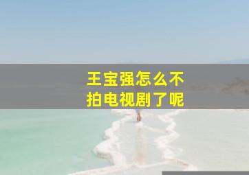 王宝强怎么不拍电视剧了呢