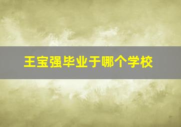 王宝强毕业于哪个学校