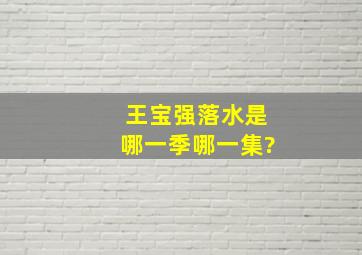 王宝强落水是哪一季哪一集?