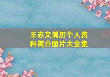 王志文简历个人资料简介图片大全集