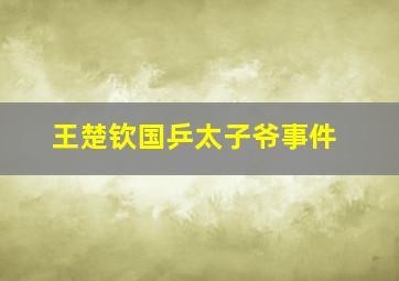 王楚钦国乒太子爷事件