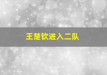 王楚钦进入二队