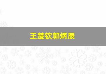 王楚钦郭炳辰