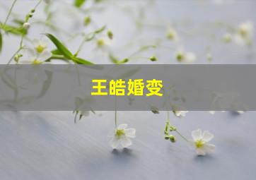 王皓婚变