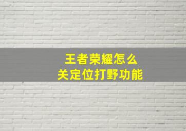 王者荣耀怎么关定位打野功能