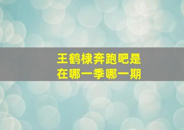 王鹤棣奔跑吧是在哪一季哪一期