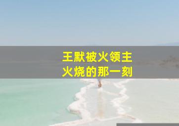 王默被火领主火烧的那一刻