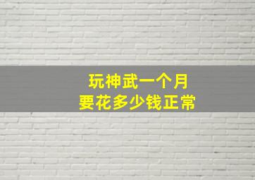 玩神武一个月要花多少钱正常