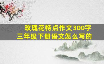 玫瑰花特点作文300字三年级下册语文怎么写的