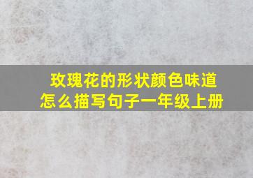 玫瑰花的形状颜色味道怎么描写句子一年级上册