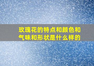 玫瑰花的特点和颜色和气味和形状是什么样的