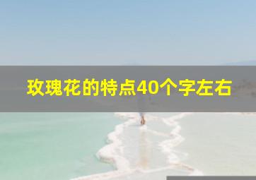 玫瑰花的特点40个字左右