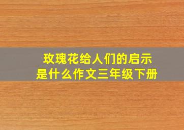 玫瑰花给人们的启示是什么作文三年级下册