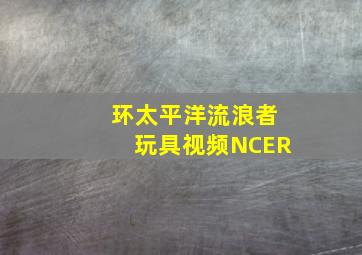 环太平洋流浪者玩具视频NCER