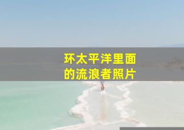 环太平洋里面的流浪者照片