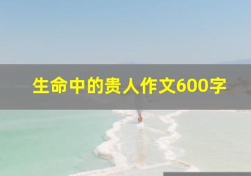 生命中的贵人作文600字