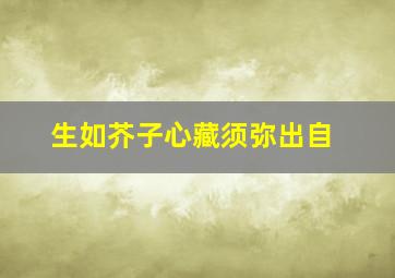 生如芥子心藏须弥出自