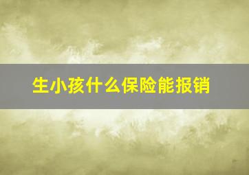 生小孩什么保险能报销