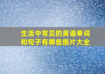 生活中常见的英语单词和句子有哪些图片大全