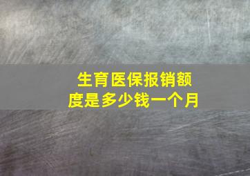 生育医保报销额度是多少钱一个月