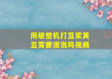 用破壁机打豆浆黄豆需要浸泡吗视频