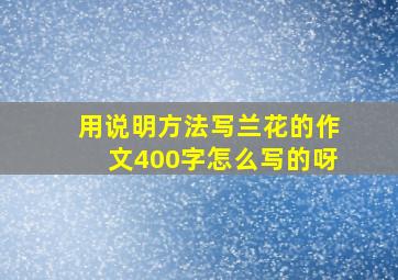 用说明方法写兰花的作文400字怎么写的呀