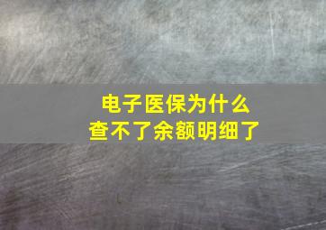 电子医保为什么查不了余额明细了