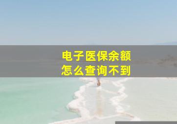 电子医保余额怎么查询不到