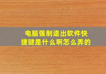 电脑强制退出软件快捷键是什么啊怎么弄的