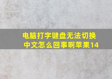 电脑打字键盘无法切换中文怎么回事啊苹果14