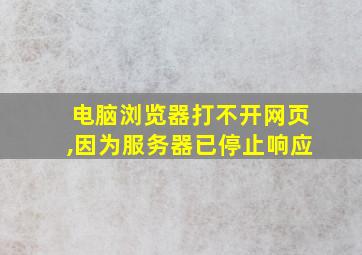 电脑浏览器打不开网页,因为服务器已停止响应