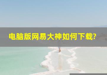 电脑版网易大神如何下载?