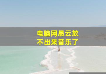 电脑网易云放不出来音乐了