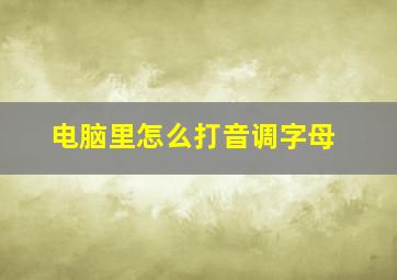 电脑里怎么打音调字母