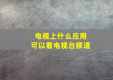 电视上什么应用可以看电视台频道