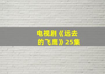 电视剧《远去的飞鹰》25集