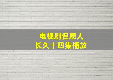 电视剧但愿人长久十四集播放